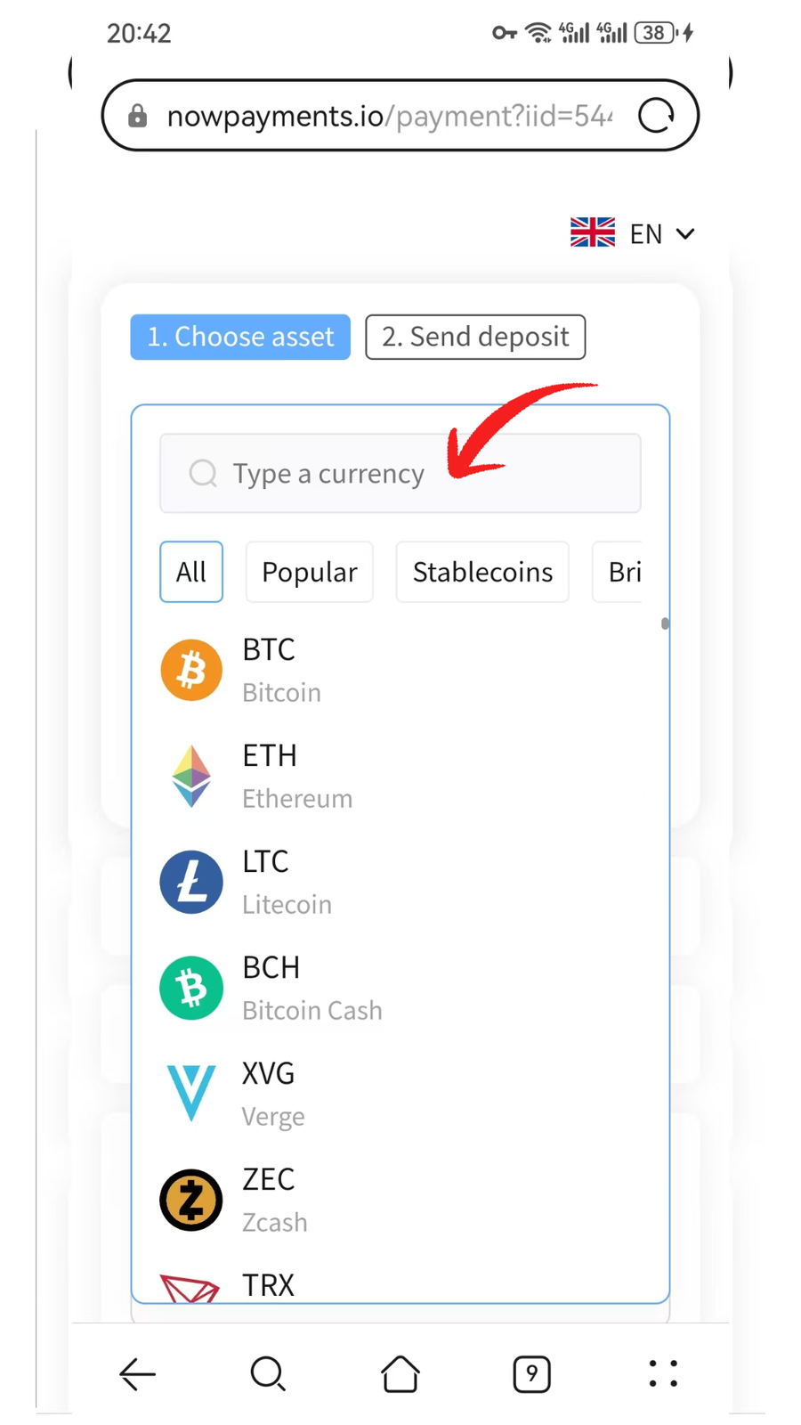 NOWPayments asset search list with Type a currency field