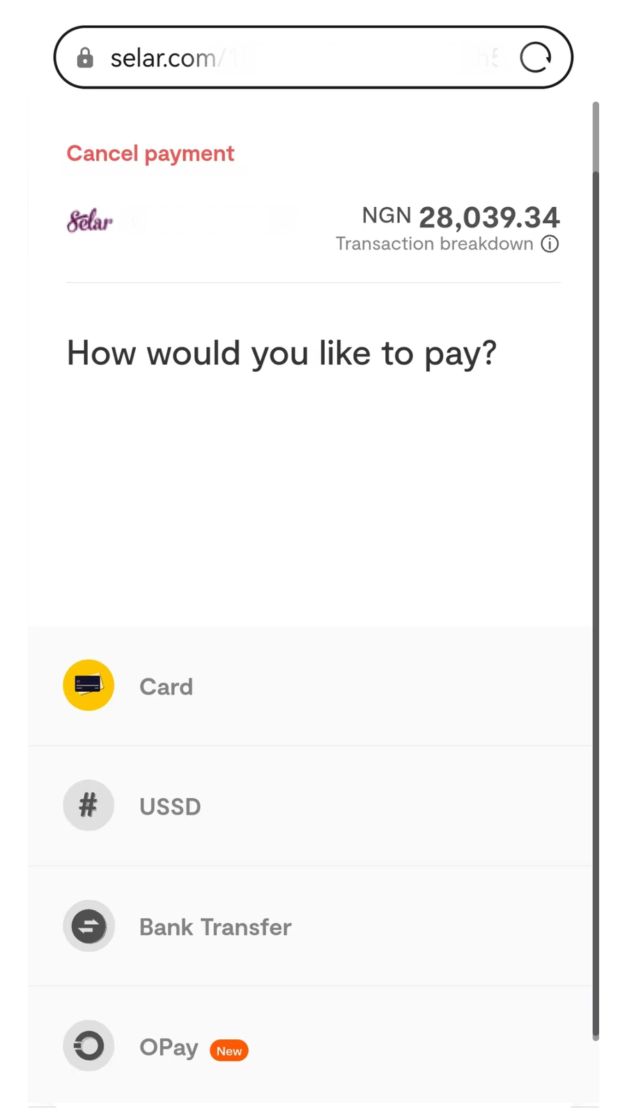 Flutterwave how would you like to pay list with Card, USSD, Bank Transfer, OPay